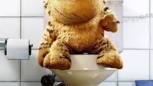 images – 2024-08-18T174331.591