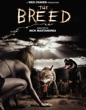 MV5BMTg0ODQ1OTI0Nl5BMl5BanBnXkFtZTcwNDg1NzQ0MQ@@._V1_